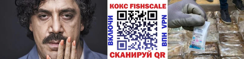 где купить наркоту  Жуковка  Кокаин FishScale 