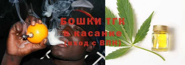 гидропоника Алзамай