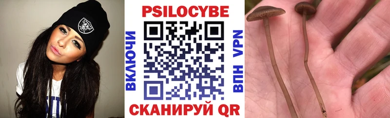 Галлюциногенные грибы Magic Shrooms  Жуковка 